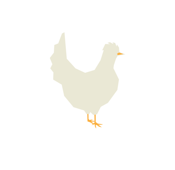 Poultry Protein