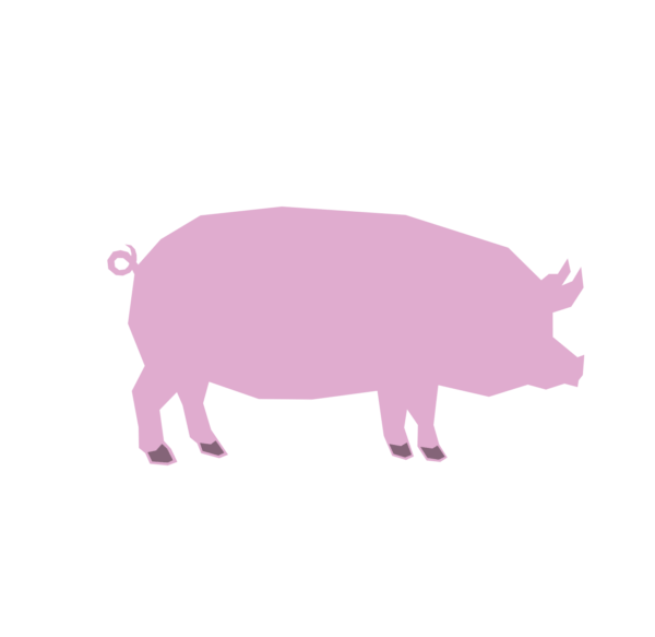 Pork Protein